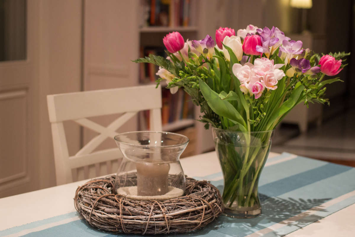 Summer Pest Proofing Tips