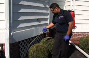 Pest Control Residential Home Services