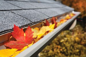 gutter cleaning viking pest control