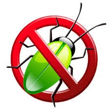 Pest-Proof Your Home