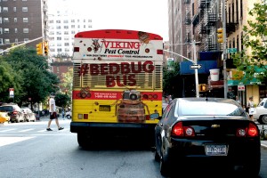 Viking Bed Bug Bus