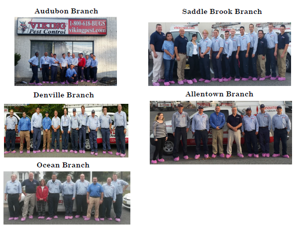 Viking Pest Breast Cancer Awareness