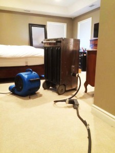 Bed Bug Treatment