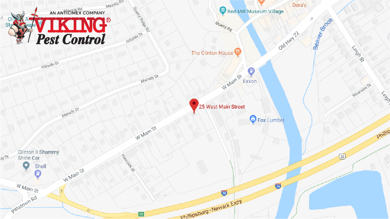 Commercial Pest Control Clinton NJ | Exterminator & Bed