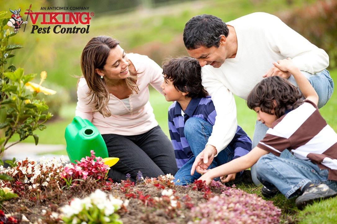 Organic Pest Control Solutions: Natural Pest Protection for Your Home