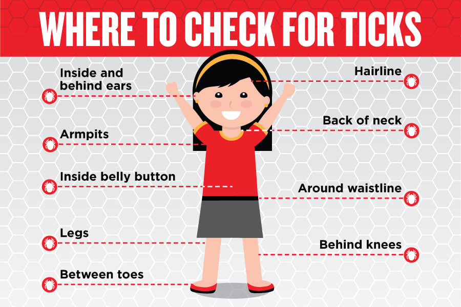 Tick Prevention Tips for Families, Pets, and Yards