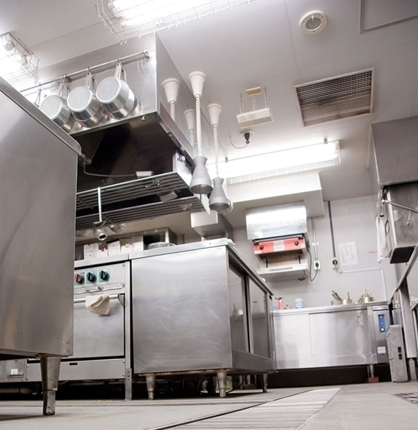 Restaurant Pest Control: Why Every Restaurant Needs Professional Pest Management