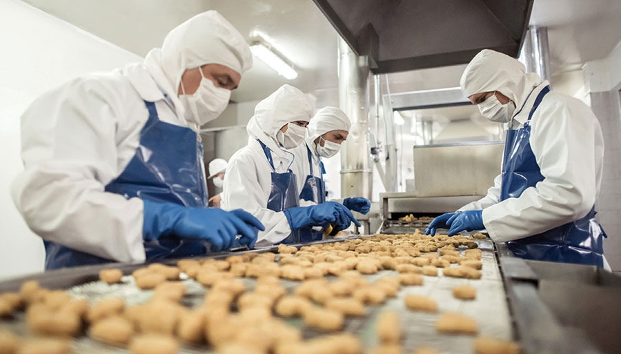 Food Processing Plant Pest Control: Why Continuous Professional Pest Management Matters