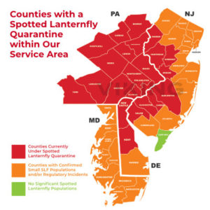 spotted-lanternfly-quarantine-map