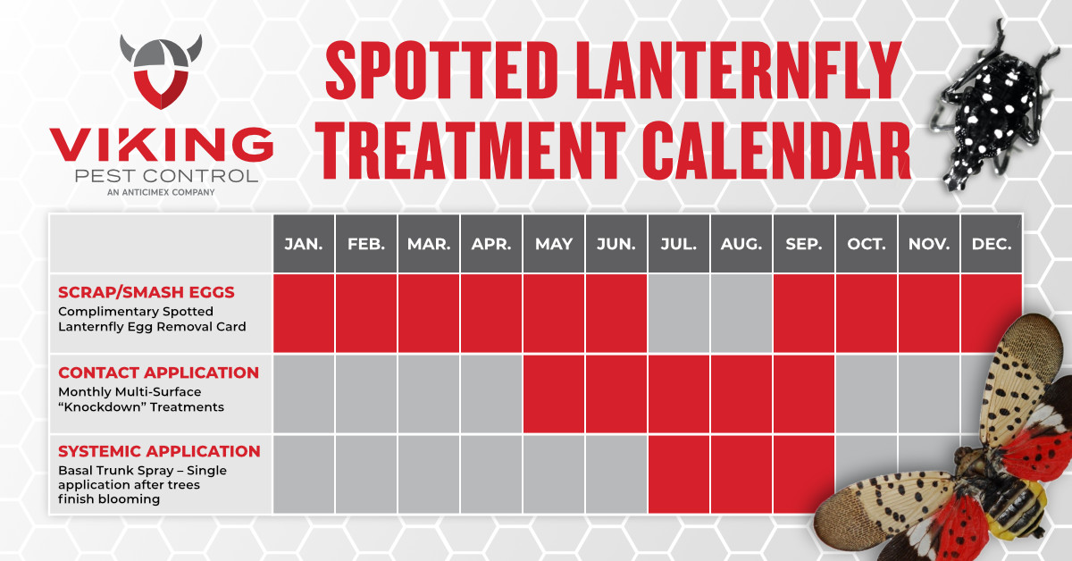 Spotted Lanternfly Treatment