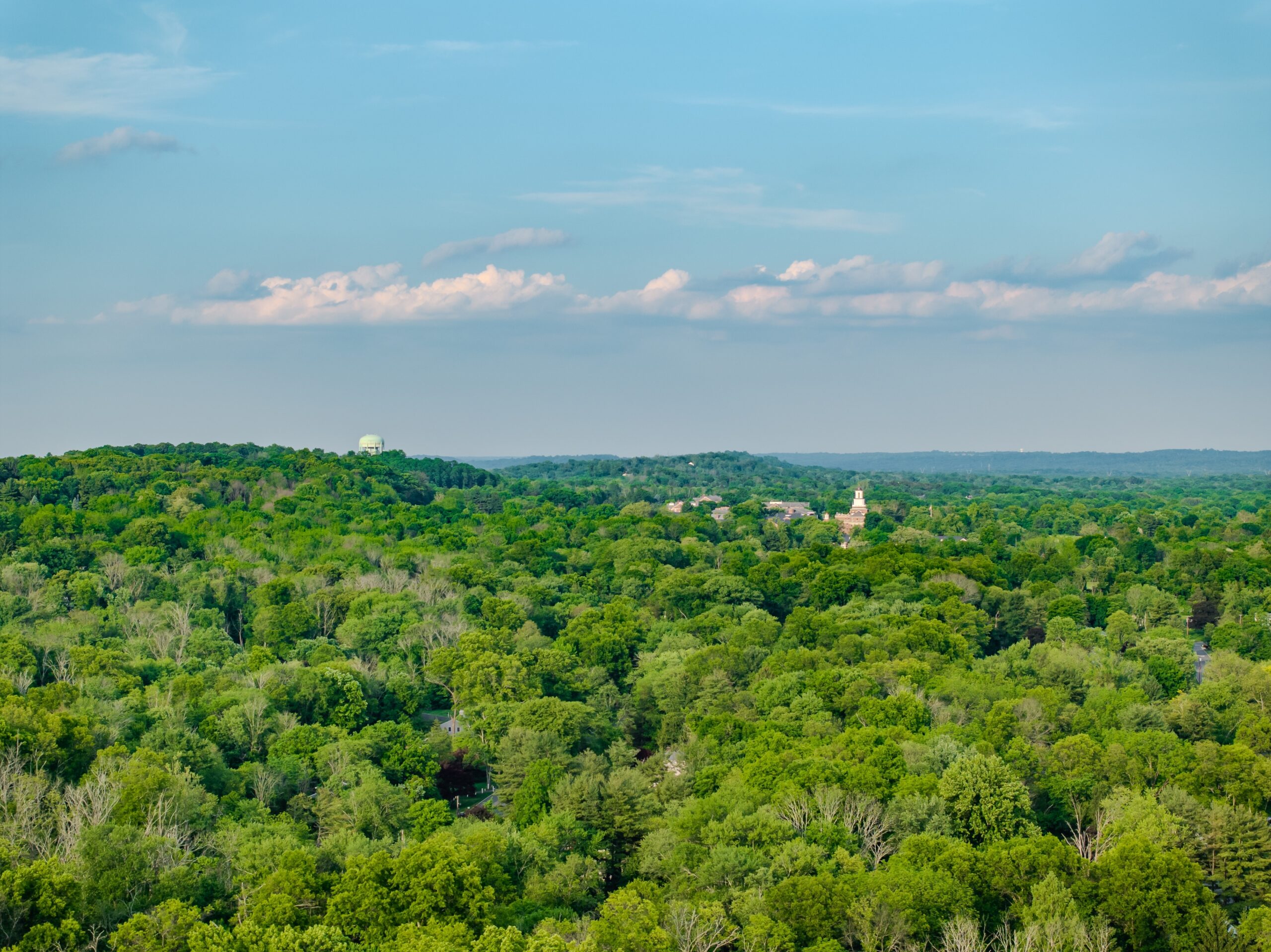 Pest Control in Basking Ridge, NJ