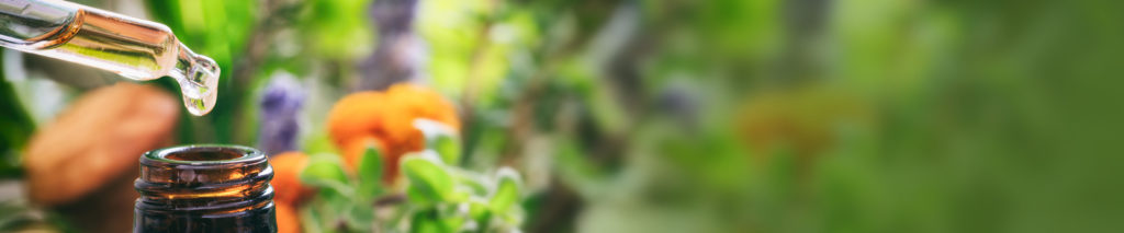 Organic Pest Control Solutions NJ PA DE MD