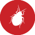 Bed Bug Control