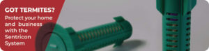 sentricon-termite-treatment