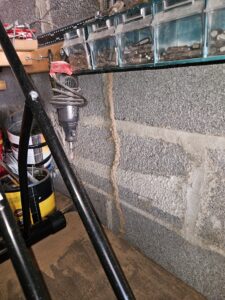 Termite Mud Tubes