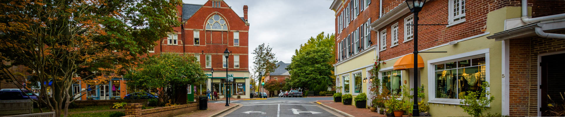 Easton Maryland Viking Pest Control
