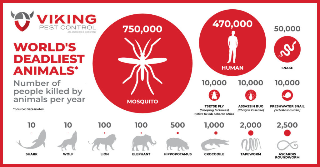 Mosquito Exterminator and Pest Control