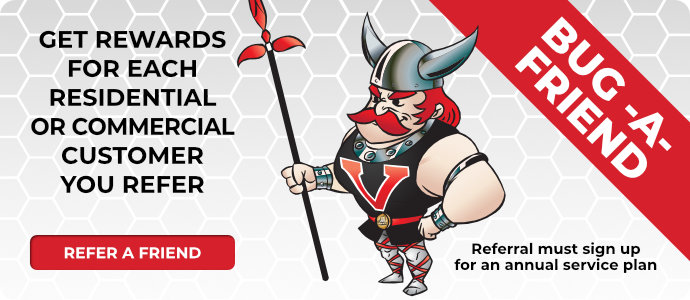 Bug a Friend Prime Offer 2022