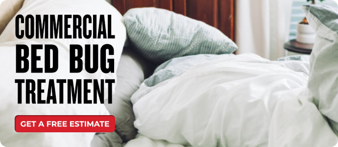 Bed Bug Treatment Commercial Prime Offers 2022