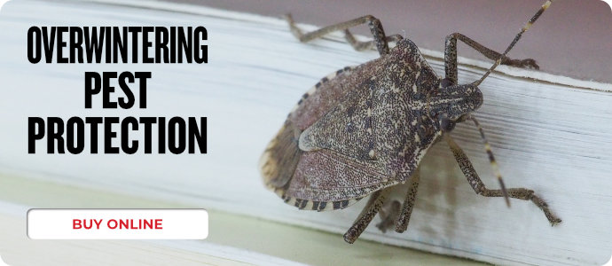 Overwintering Pest Protection