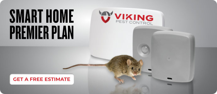 Smart Home Post Prime 2022