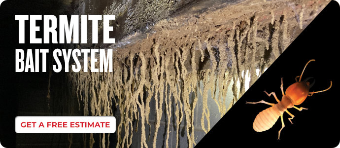 Termite Bait System Prime Offer 2022