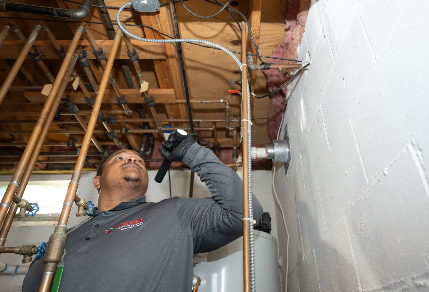 Carrie Underwood Ticket Winner: How Viking’s Mice Control Helped Greg Fix “A Leaky Discovery”
