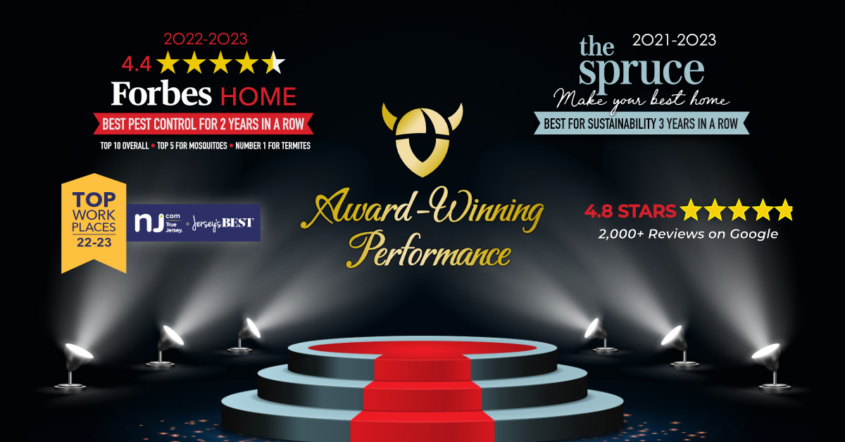Viking Pest Control Wins National and Local Recognition