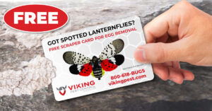 Spotted Lanternfly Egg Removal Card