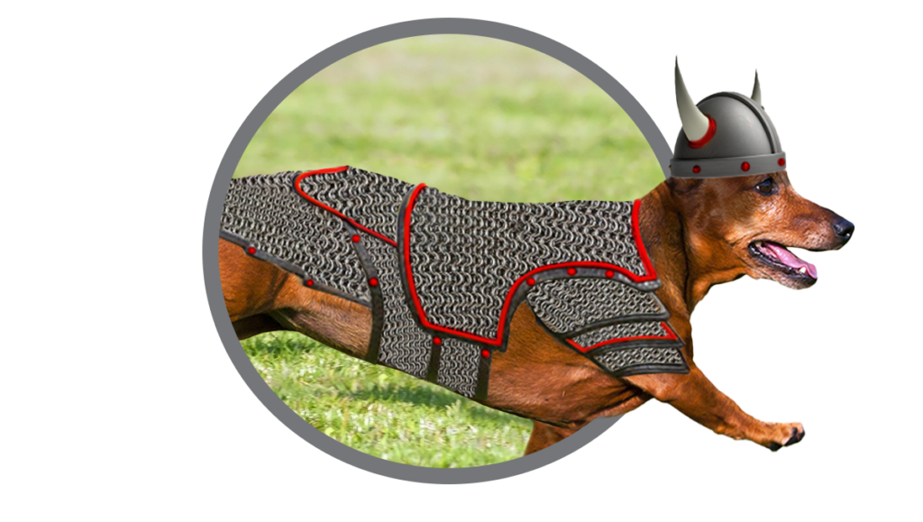 Ticks on Dogs