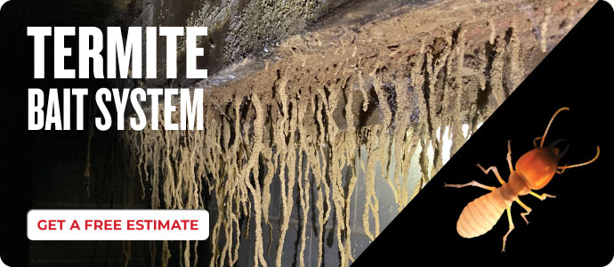 PPW 2024 Termite Bait