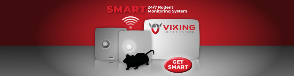 SMART Rodent Control in NJ, PA, MD and DE