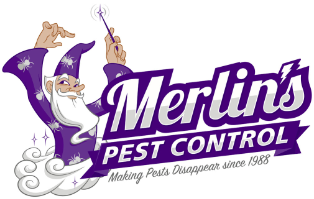 Merlin Logo