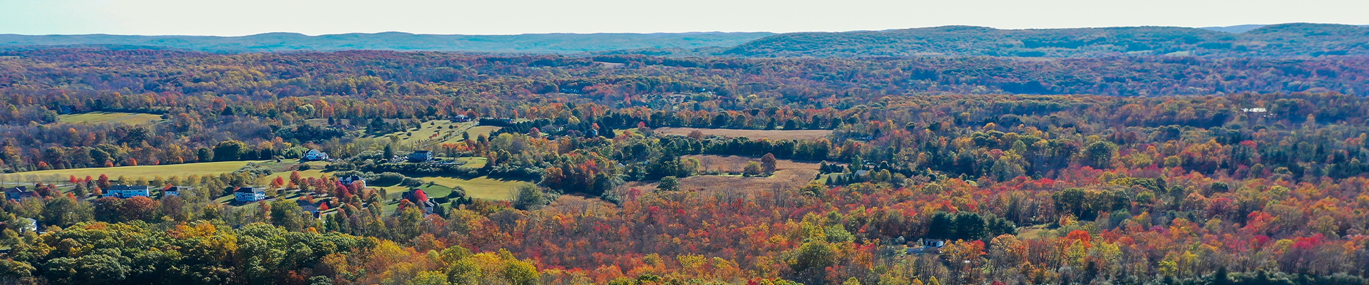 Blairstown New Jersey Viking Pest Control