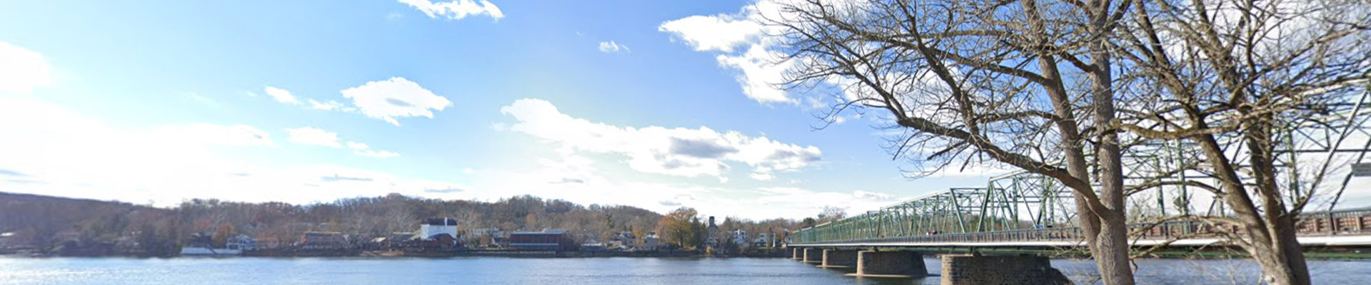 Lambertville New Jersey Viking Pest Control
