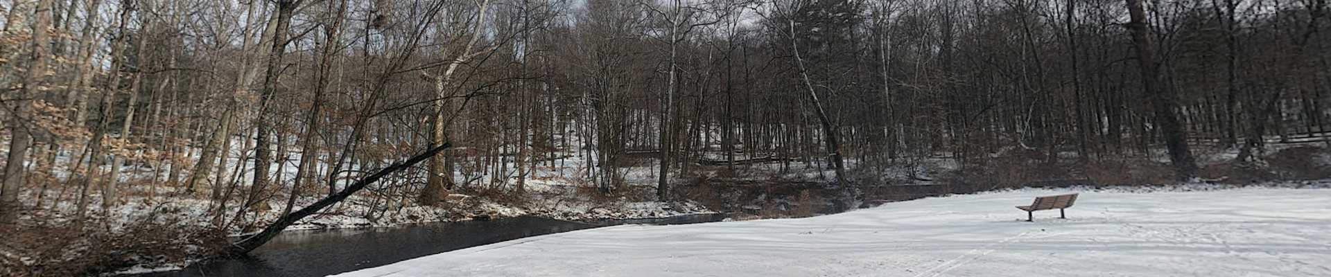 Peapack New Jersey Viking Pest Control