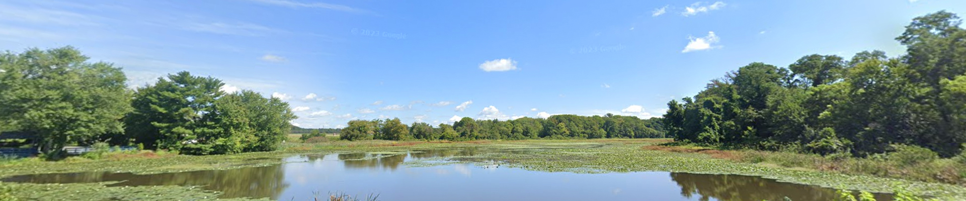 Cream Ridge New Jersey Viking Pest Control