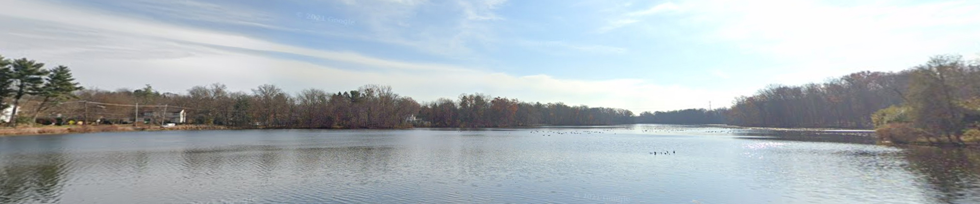 Pest Control in Princeton Junction, NJ
