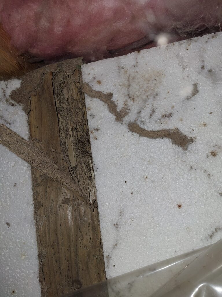 Termite Shelter Tube
