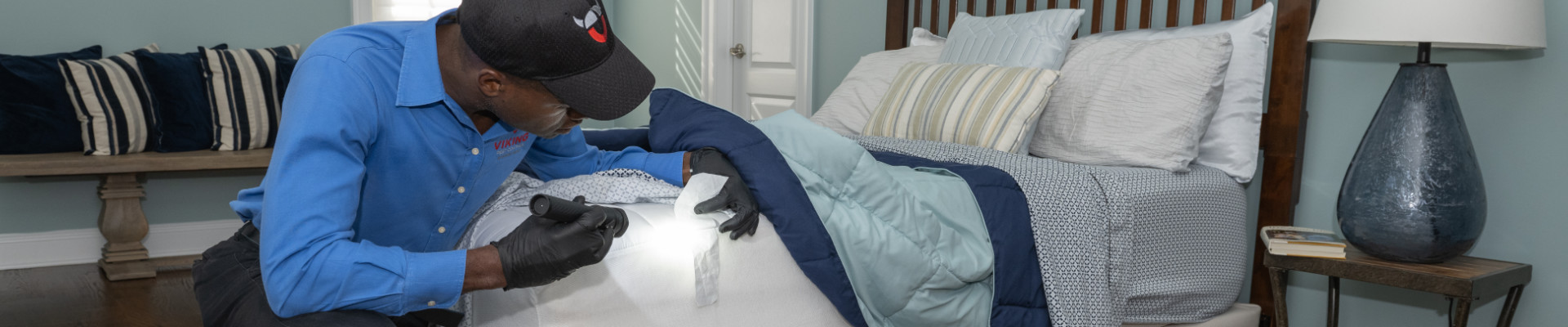 Bed Bug Inspection