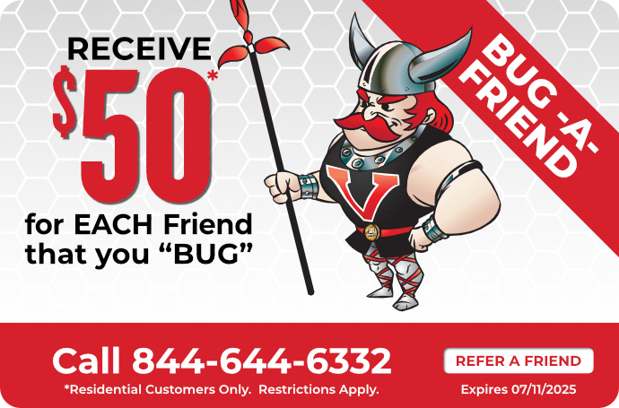 Bug-a-Friend