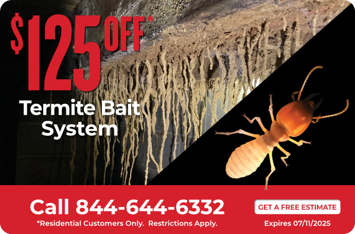Termite Bait System