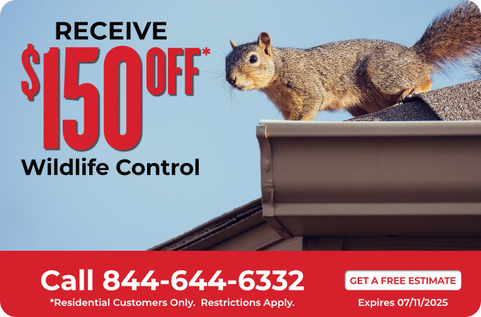 Wildlife Control