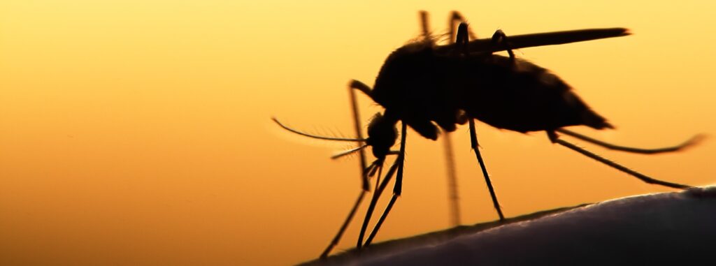 Mosquito Control in NJ, PA, DE and MD
