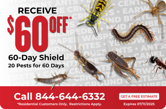 60-Day Shield