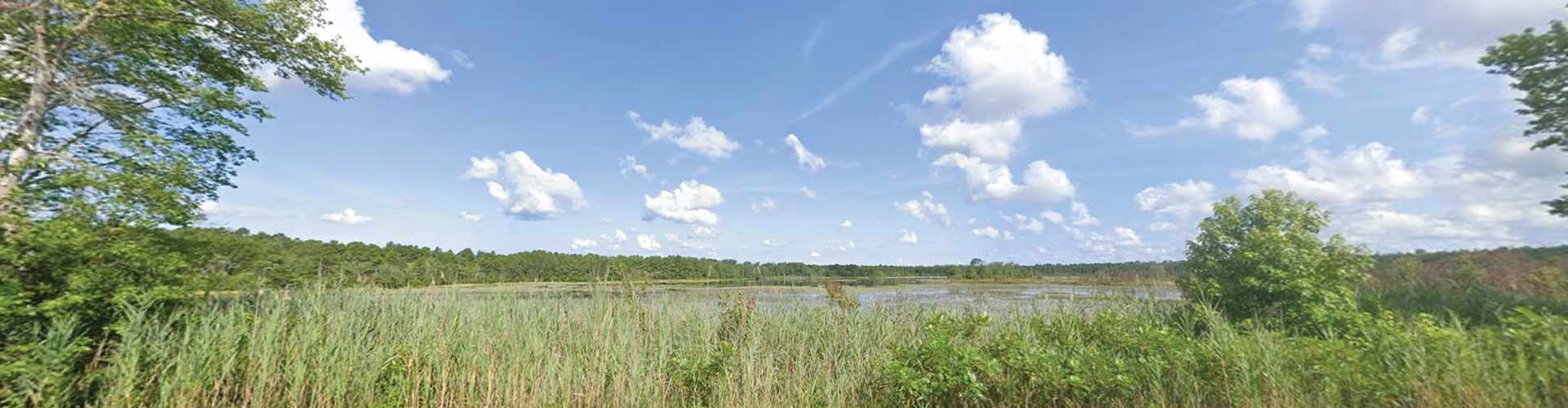 Pest control in Elwood, NJ