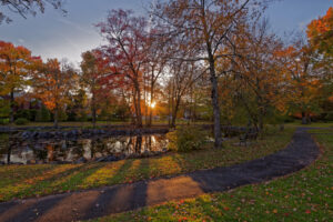 Mindowaskin Park in Westfield - Viking Pest Control