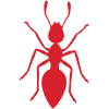 Ants