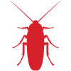 Cockroaches