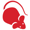 Rodents